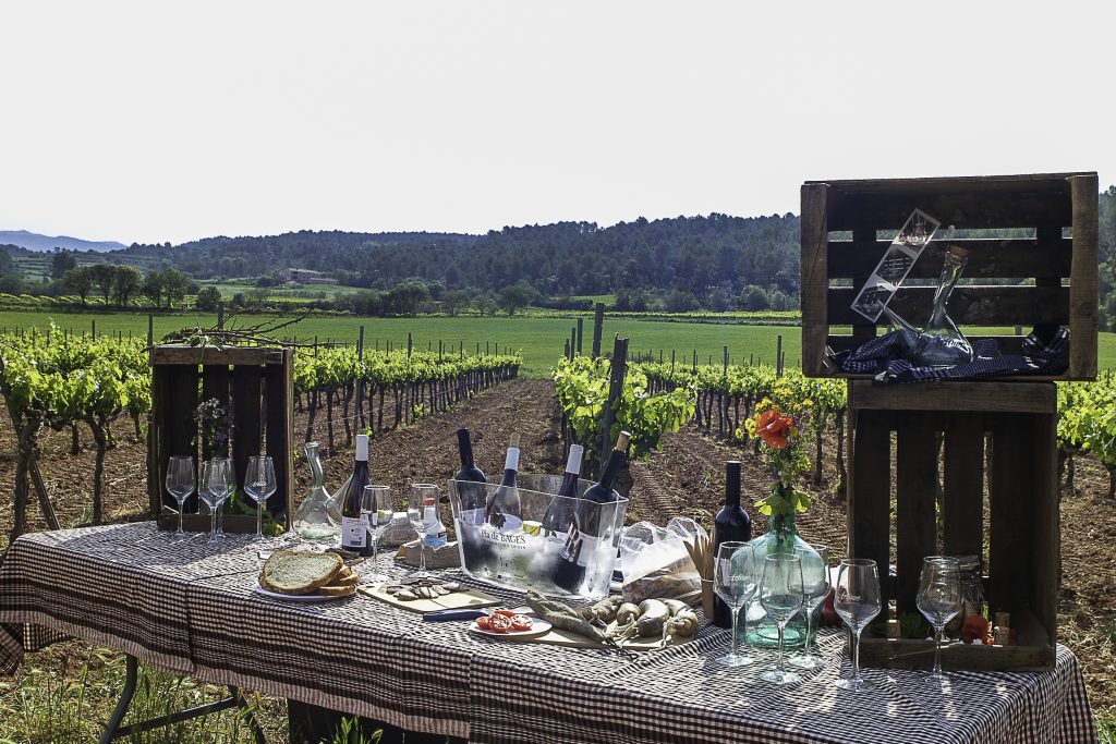 Taula d’esmorzar de forquilla amb vins entre vinyes verdes al Bages