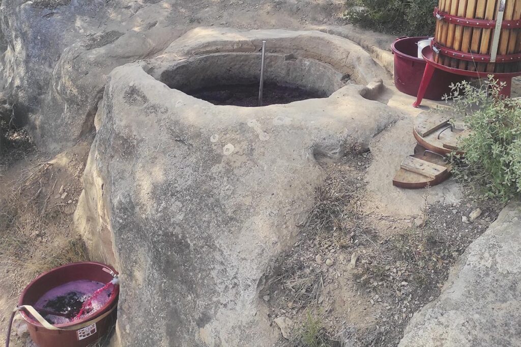 Cup de pedra medieval amb vi fermentant a les vinyes de Ladiferenta, DO Pla de Bages.