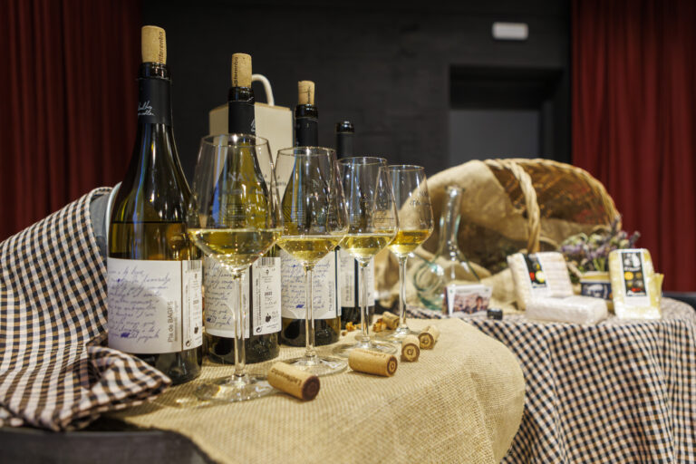 Tast vertical de Ladiferenta blanc amb copes i ampolles al Centre Enoturístic de Navàs, enoturisme al Bages