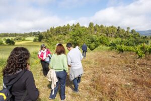 Participants caminant entre vinyes verdes durant una experiència d’enoturisme amb Artium al Bages