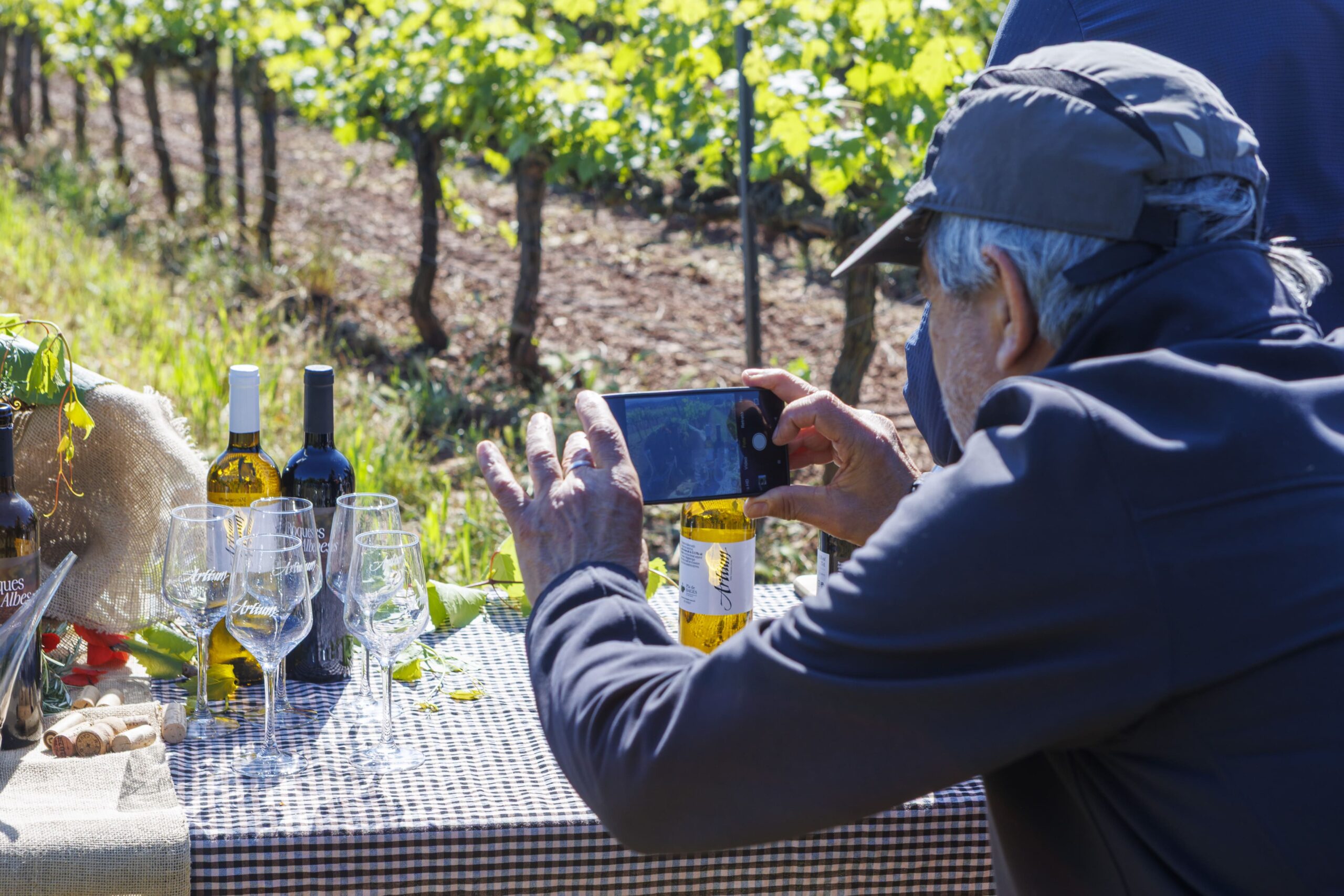 Participant fotografiant vins d’Artium amb el mòbil entre vinyes verdes