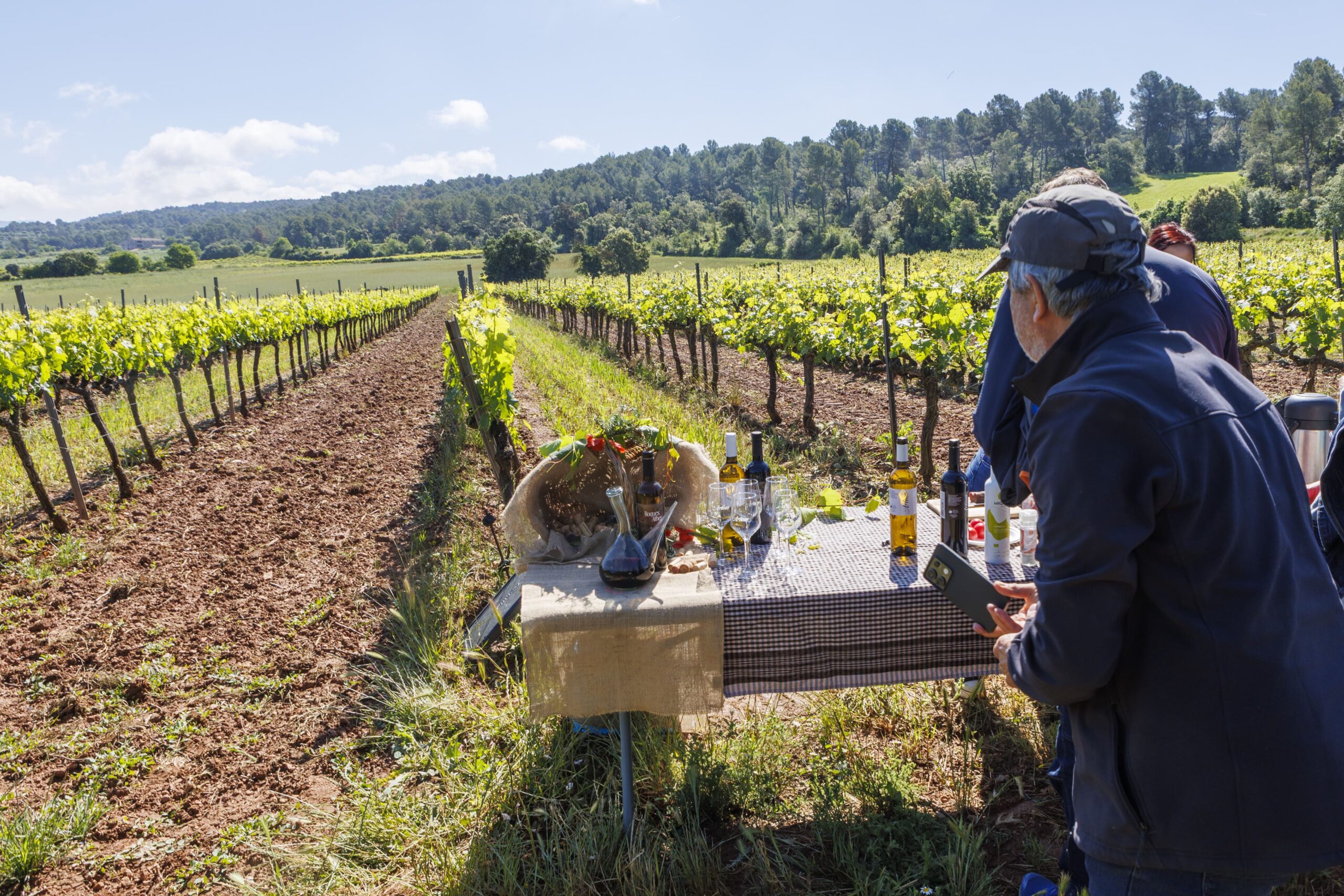 Tast de vins d’Artium preparat entre fileres de ceps a la Vinya del Jesús