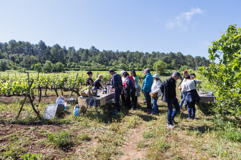 Participants esmorzant entre vinyes verdes durant una experiència amb Artium al Bages