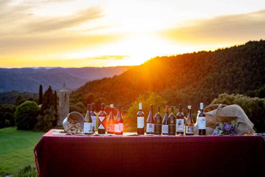 Ampolles dels cellers de la DO Pla de Bages davant la posta de sol al Celler Sanmartí