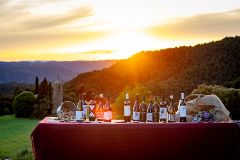 Ampolles dels cellers de la DO Pla de Bages davant la posta de sol al Celler Sanmartí