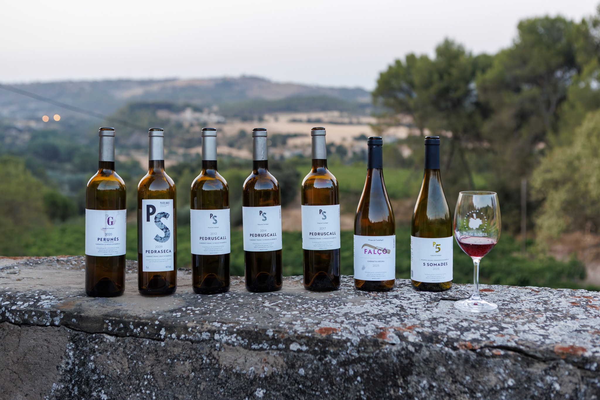 Ampolles de Vinyes de Castellgalí amb el paisatge de Castellgalí al fons