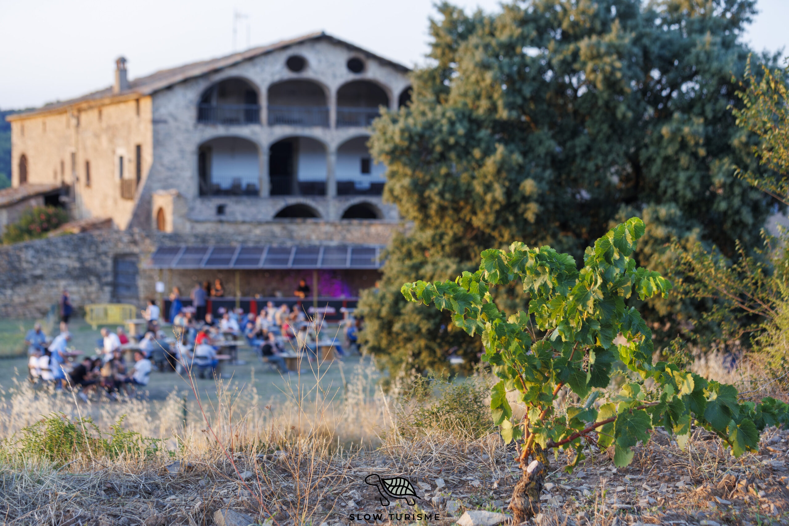 Vinyes i públic al Celler Sanmartí durant les Notes de Tast a Sallent, amb música, vins i producte local del Bages.