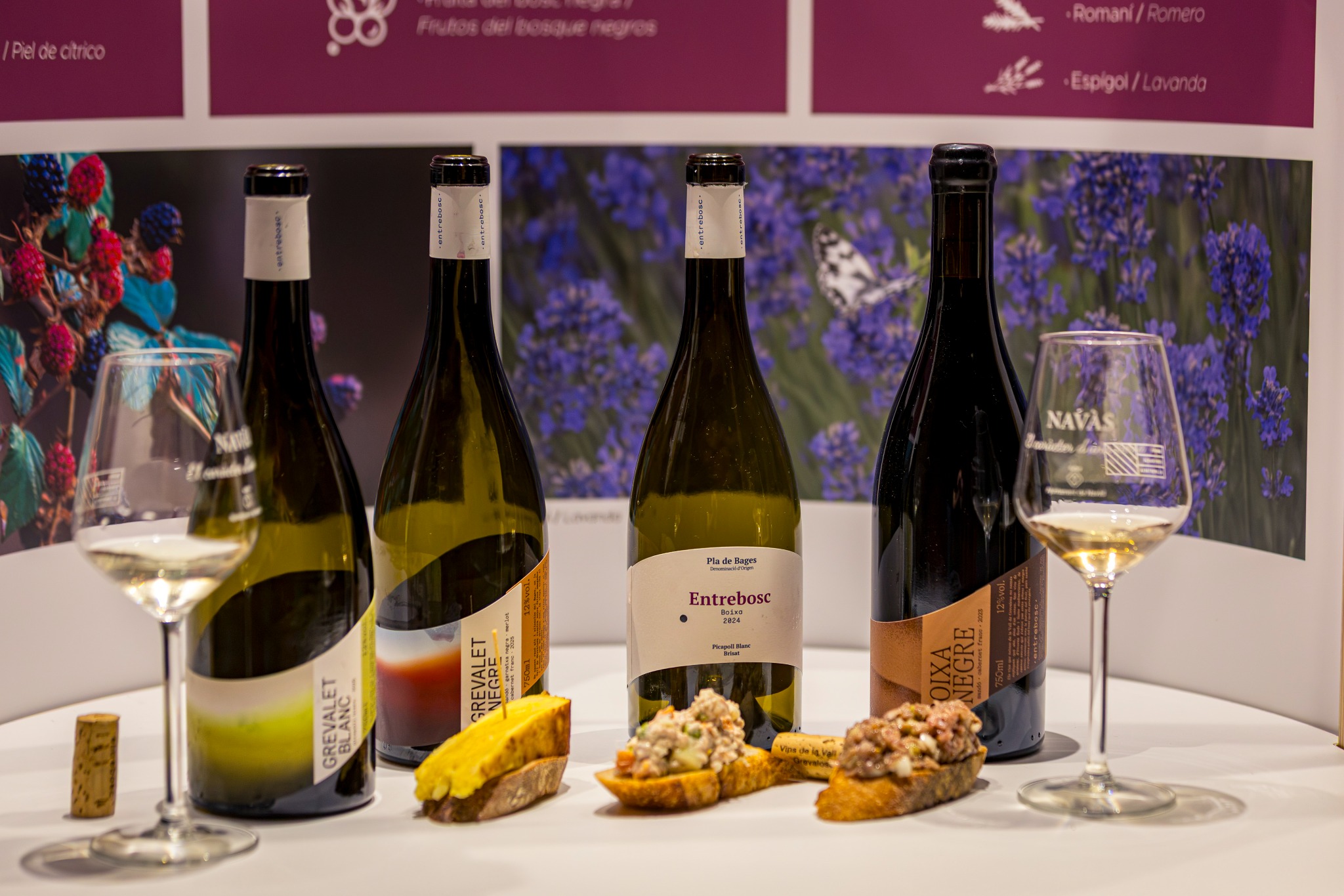 Vins Grevalet i Boixa d’Entrebosc amb els pintxos del maridatge a Navàs