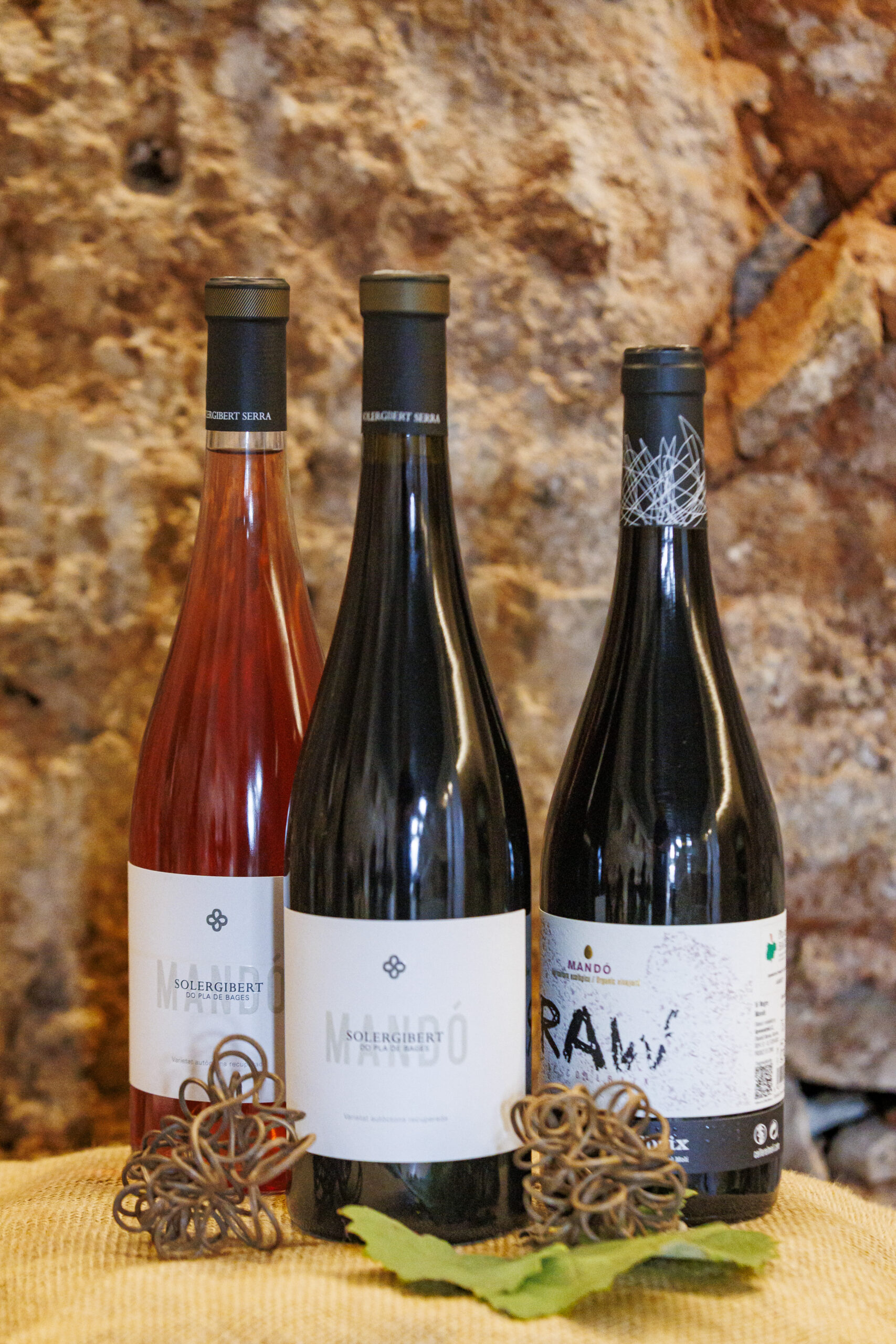 Vins de mandó de Collbaix i Solergibert tastats a Artés