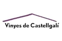 logo 300x200 vinyes de castellgali